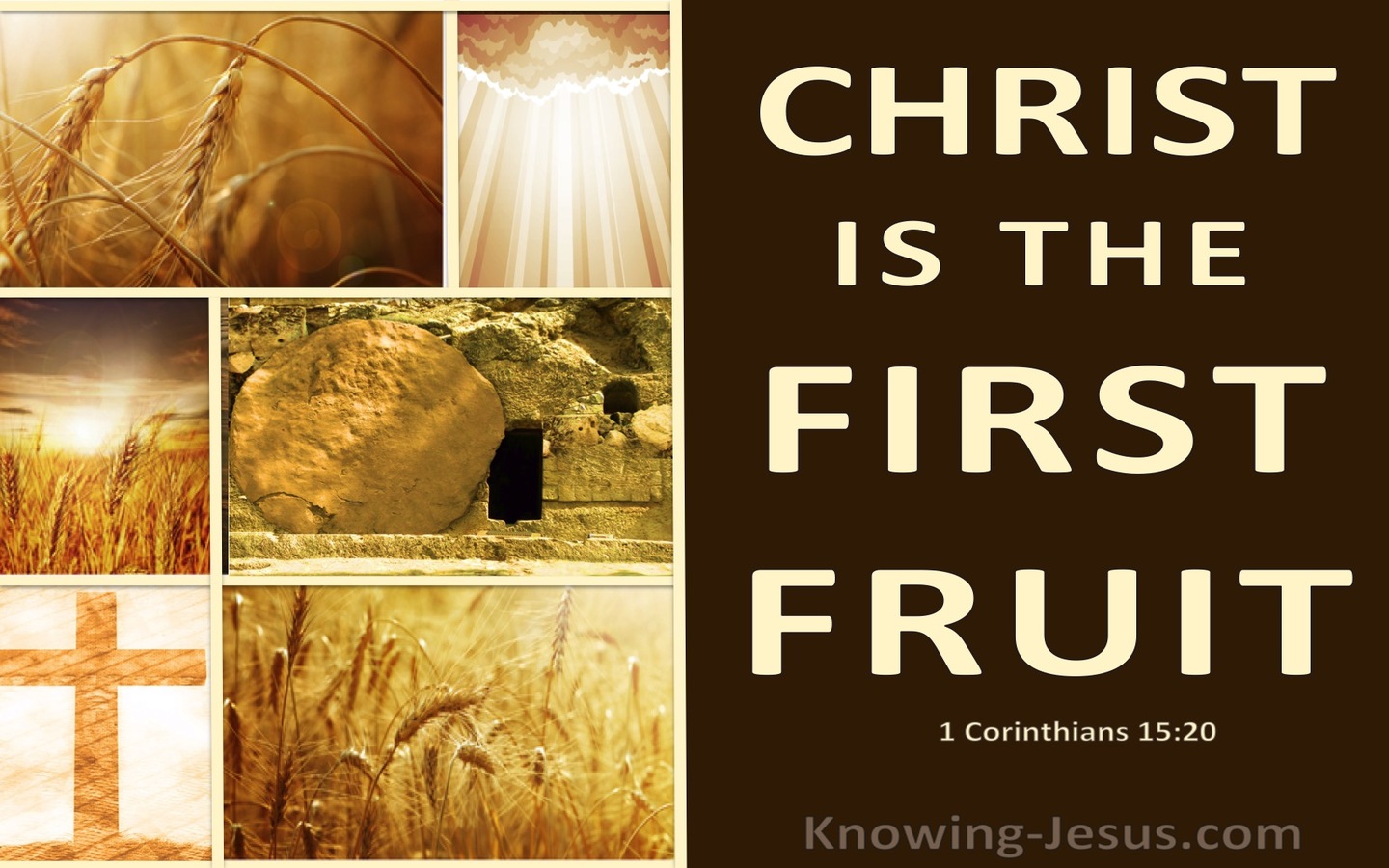 1 Corinthians 15:20 Christ Is Risen The Firstfruit Of Them That Slept (brown)